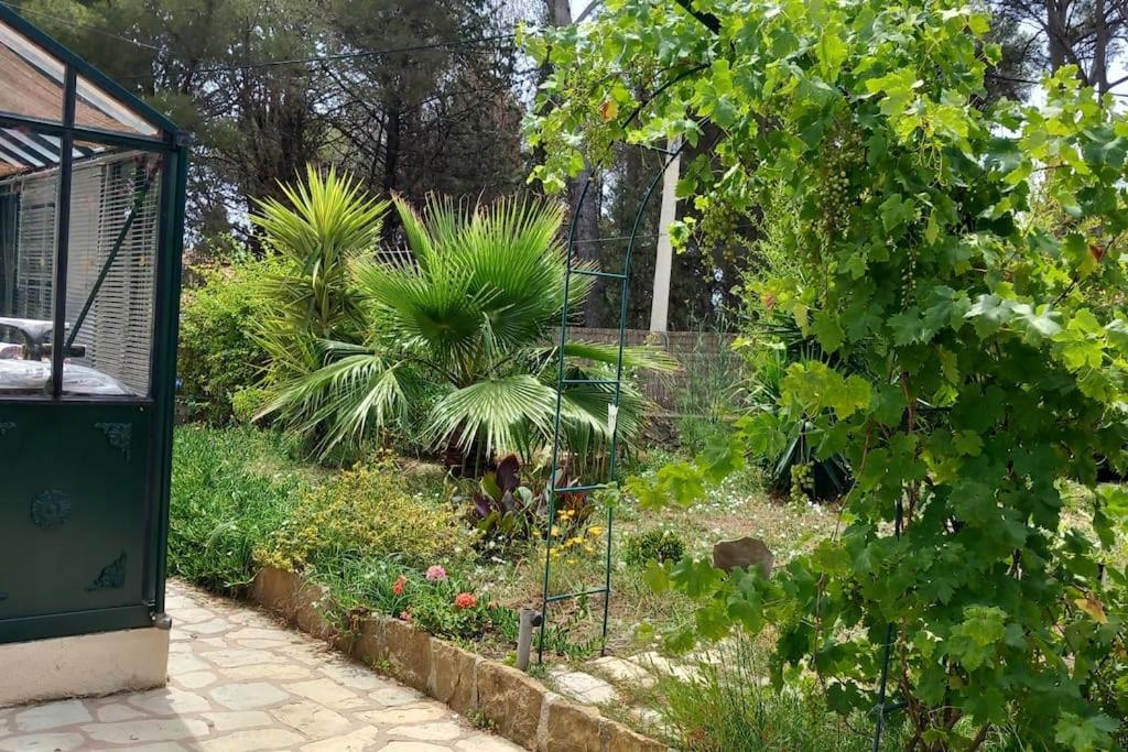 Villa Magali Grande Terrasse Vue Mer, Jardin, Proche Port La Ciotat Exterior foto